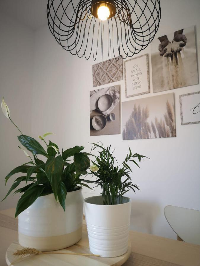 קוניל דה לה פרונטרה Apartamento Suite Arco De La Villa,Solo Familia Y Parejas,Parking Gratuito מראה חיצוני תמונה